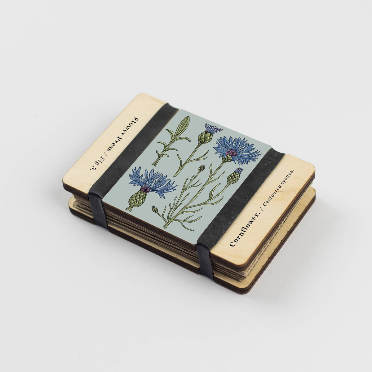 Vintage Cornflower Pocket Flower Press by Studio Ward