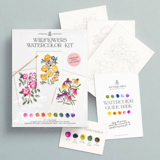 Watercolor Painting Kit : Wildflowers No1 by Antiquaria Mercantile
