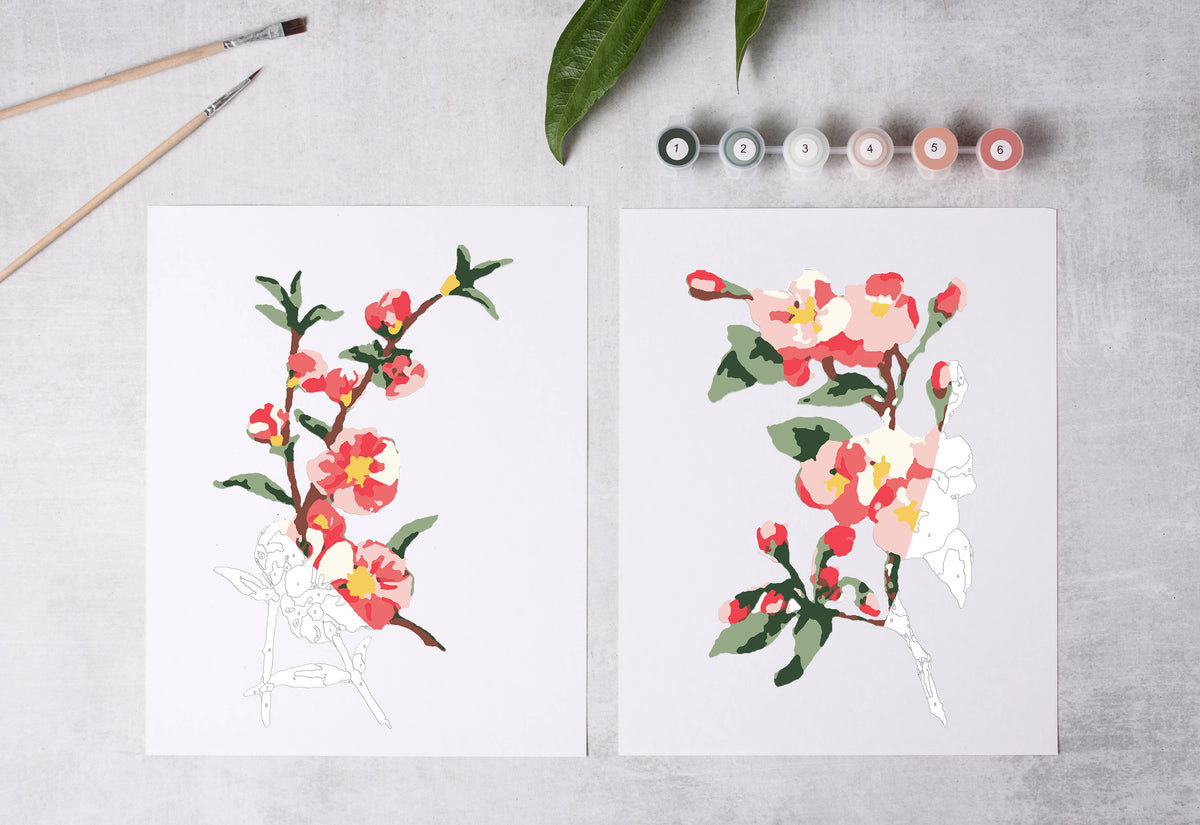 Cherry Blossoms Paint-By-Numbers kit by Cate Paper Co