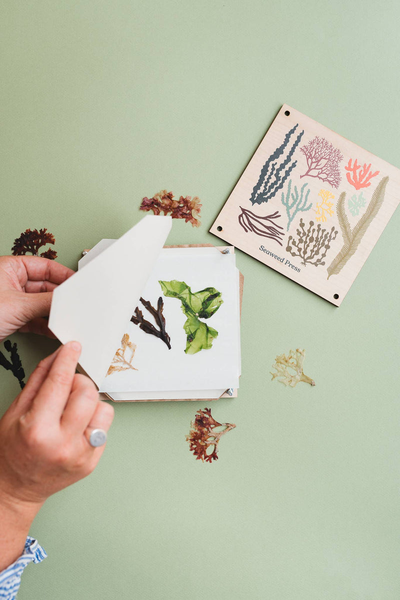 Seaweed Press Kit by Studio Wald